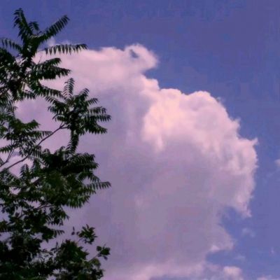 勇者乱斗堂破解版下载